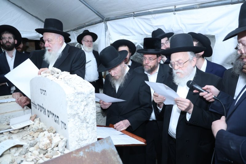 שלומי טריכטר