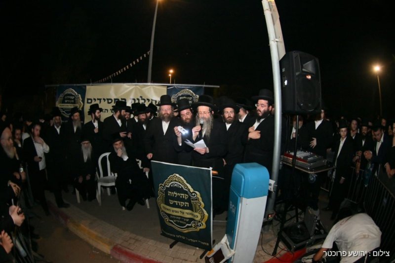 יהושע פרוכטר