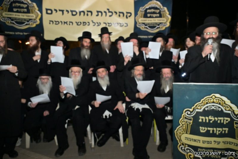 יהושע פרוכטר