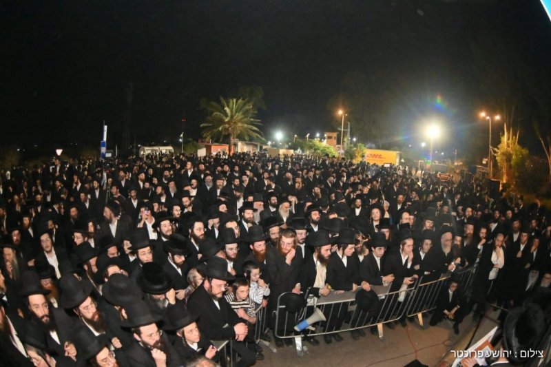 יהושע פרוכטר