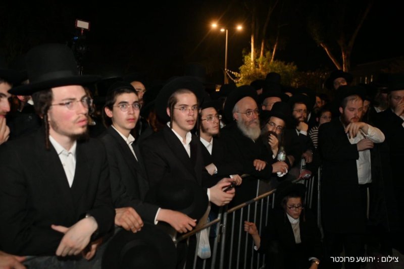 יהושע פרוכטר