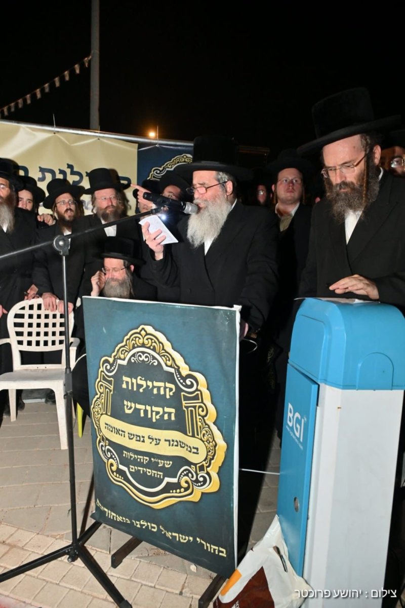 יהושע פרוכטר