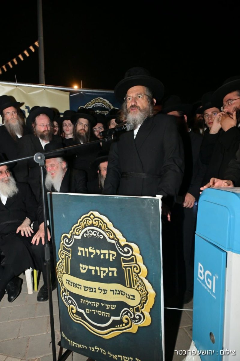 יהושע פרוכטר