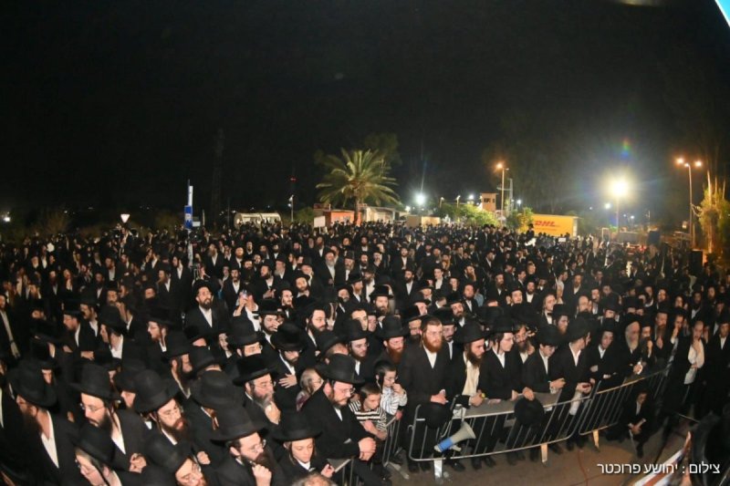 יהושע פרוכטר