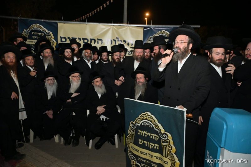 יהושע פרוכטר