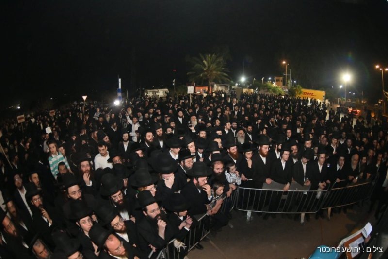 יהושע פרוכטר