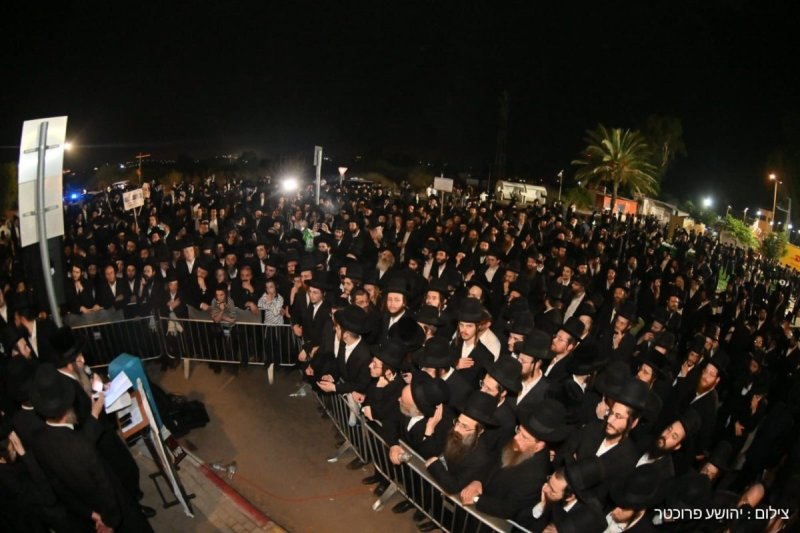 יהושע פרוכטר