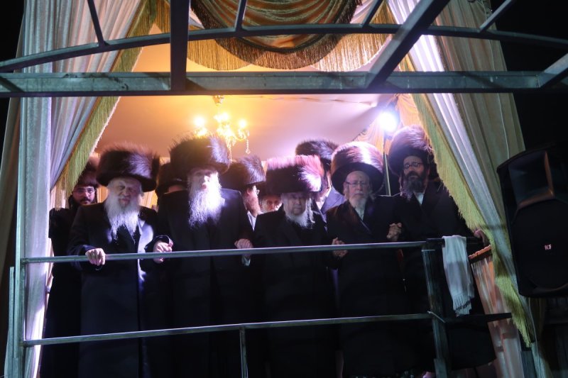 שימי פ. ומ.א נוימן