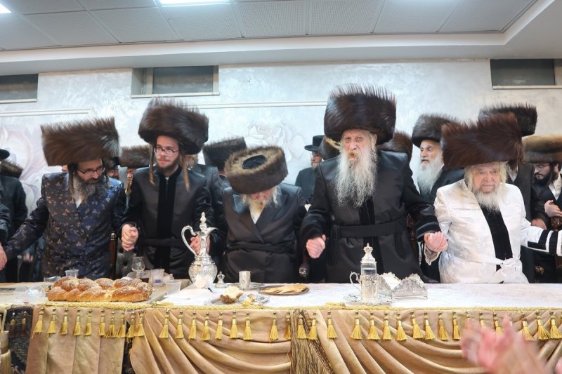 שימי פ. ומ.א נוימן