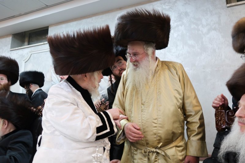 שימי פ. ומ.א נוימן