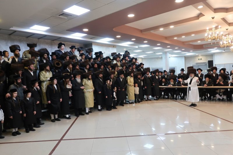 שימי פ. ומ.א נוימן