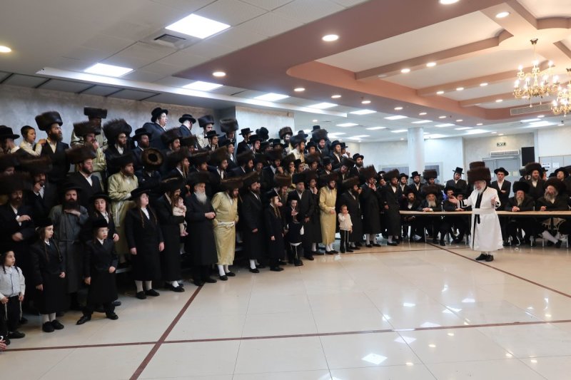 שימי פ. ומ.א נוימן