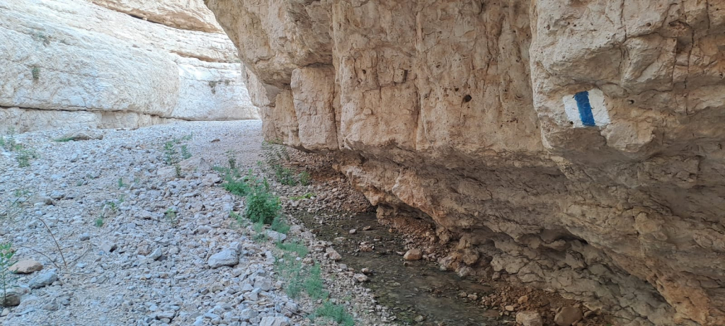 שי רוזנצוויג, רשות הטבע והגנים