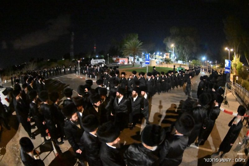 יהושע פרוכטר