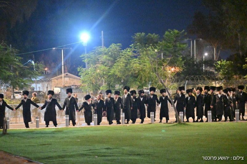 יהושע פרוכטר