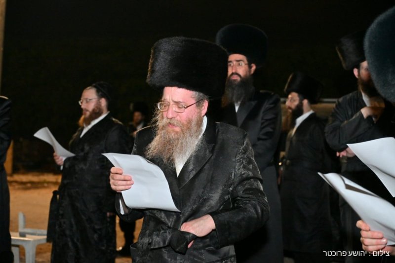 יהושע פרוכטר