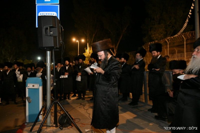 יהושע פרוכטר