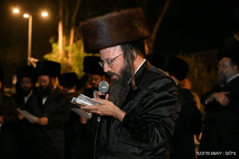 יהושע פרוכטר