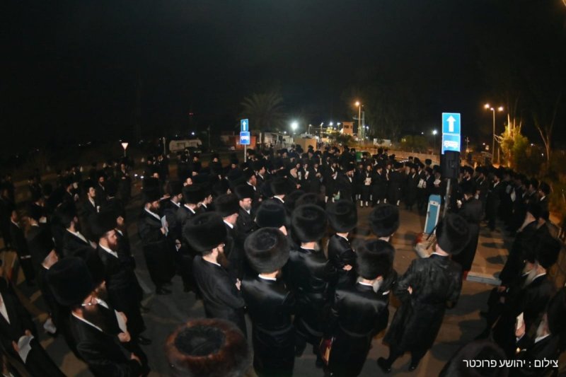 יהושע פרוכטר