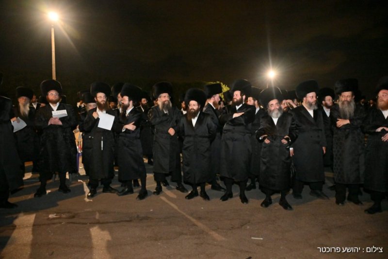 יהושע פרוכטר