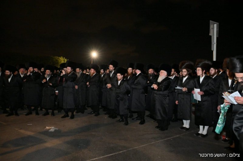 יהושע פרוכטר