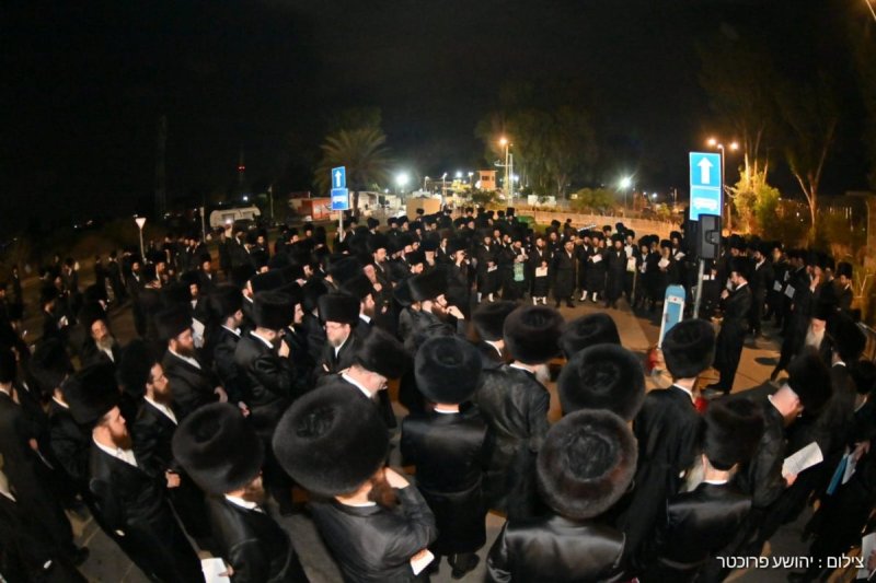 יהושע פרוכטר