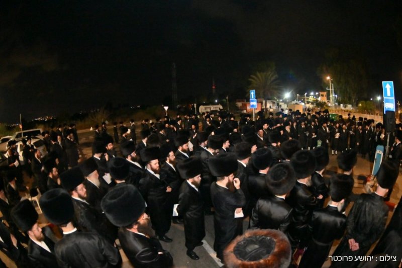 יהושע פרוכטר