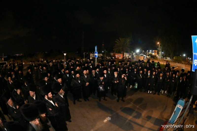 יהושע פרוכטר