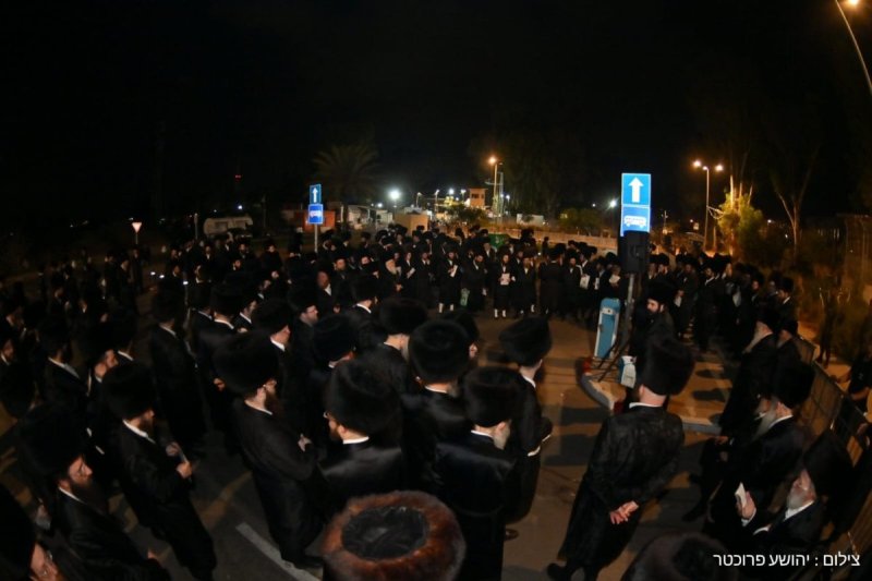 יהושע פרוכטר