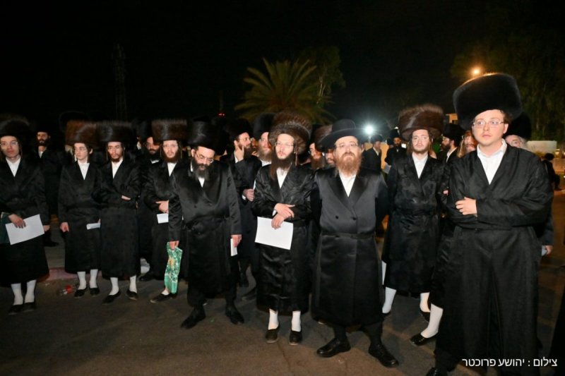 יהושע פרוכטר