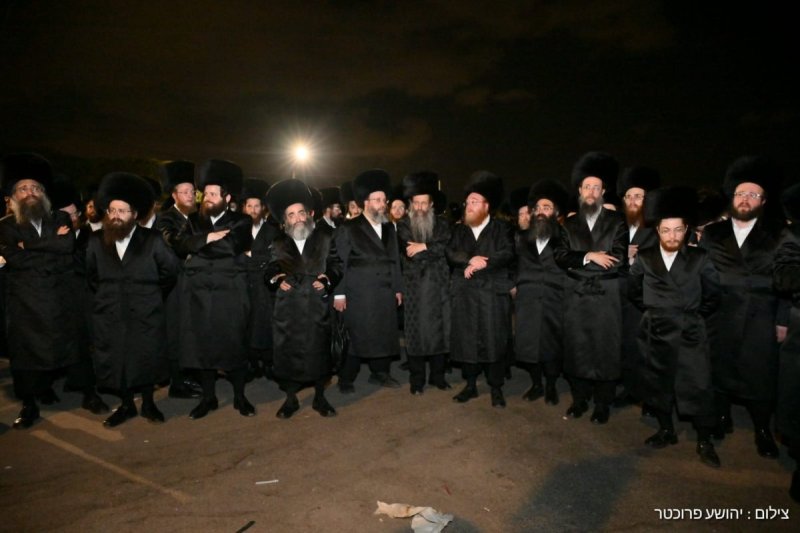 יהושע פרוכטר