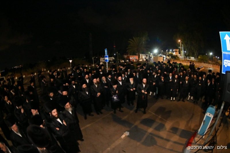 יהושע פרוכטר