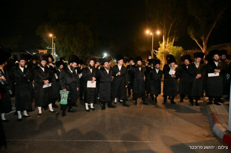 יהושע פרוכטר