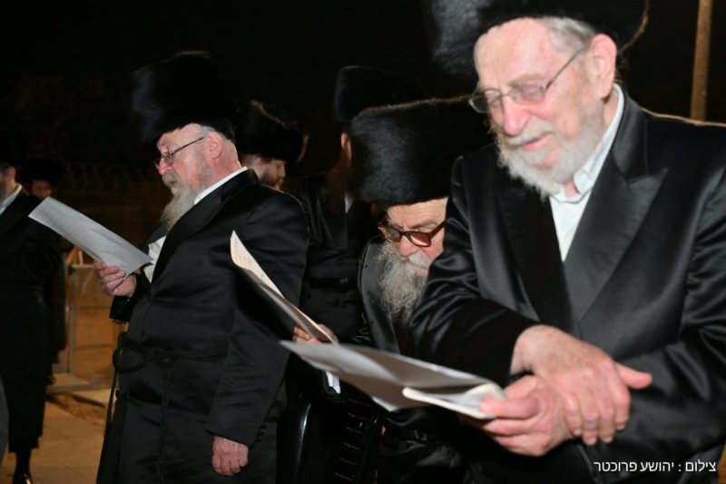 יהושע פרוכטר