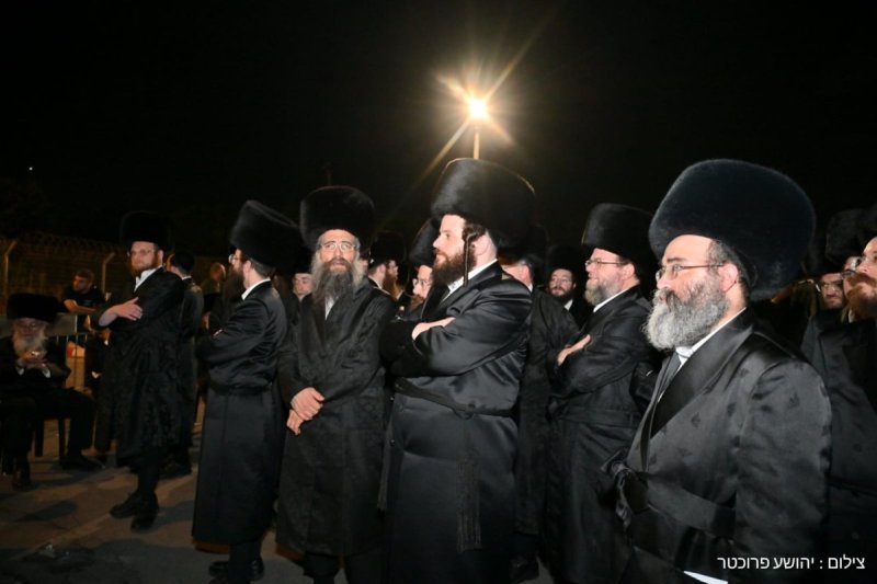 יהושע פרוכטר