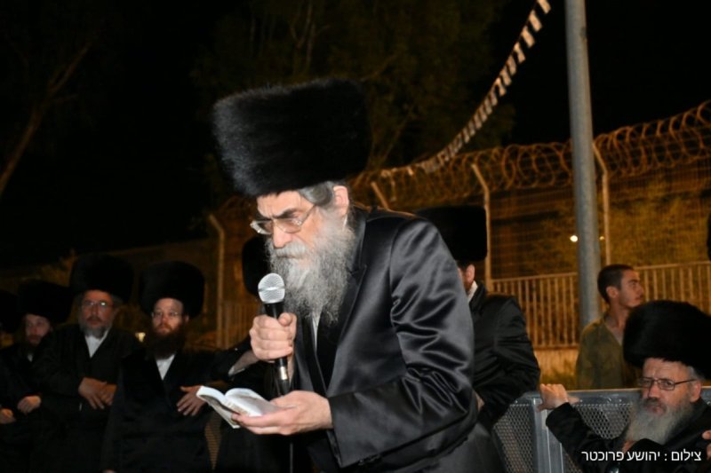 יהושע פרוכטר