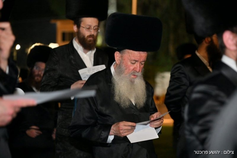 יהושע פרוכטר