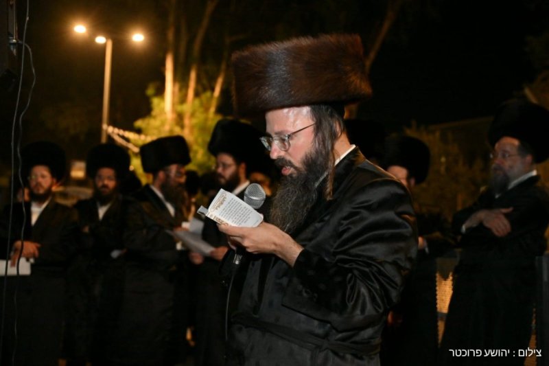 יהושע פרוכטר