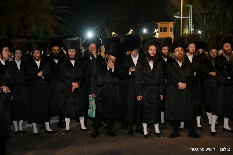 יהושע פרוכטר