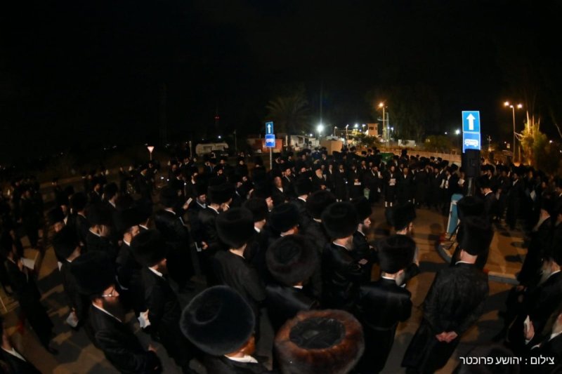 יהושע פרוכטר