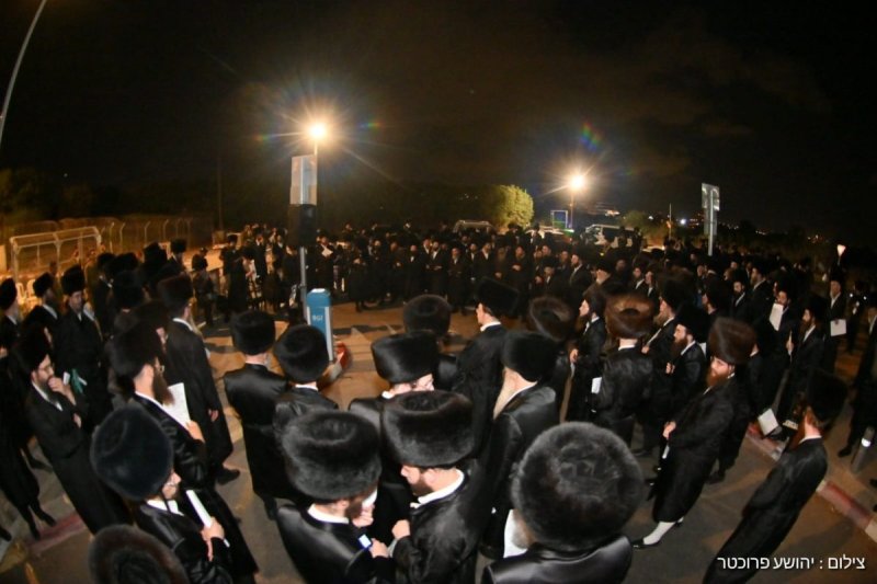 יהושע פרוכטר