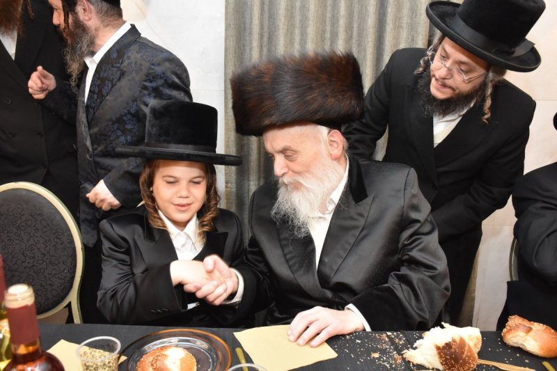 יהודה פרקוביץ