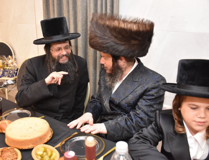 יהודה פרקוביץ