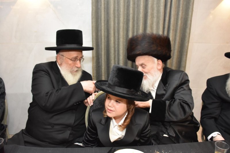 יהודה פרקוביץ