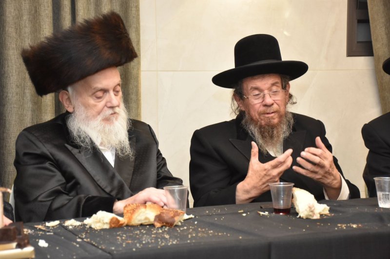 יהודה פרקוביץ