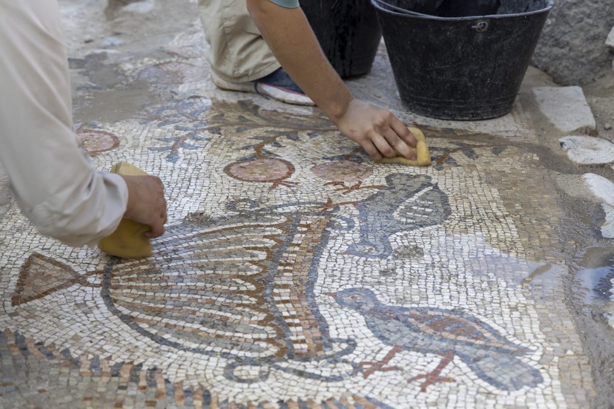 ד"ר מיכאל איזנברג