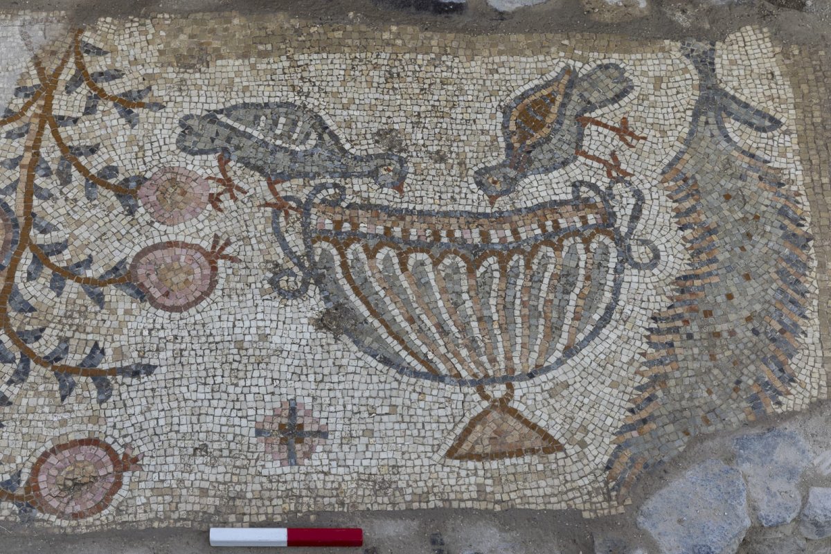 ד"ר מיכאל איזנברג