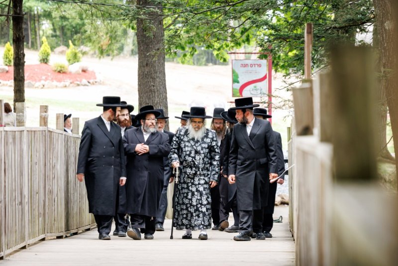 יוסי גולדברגר