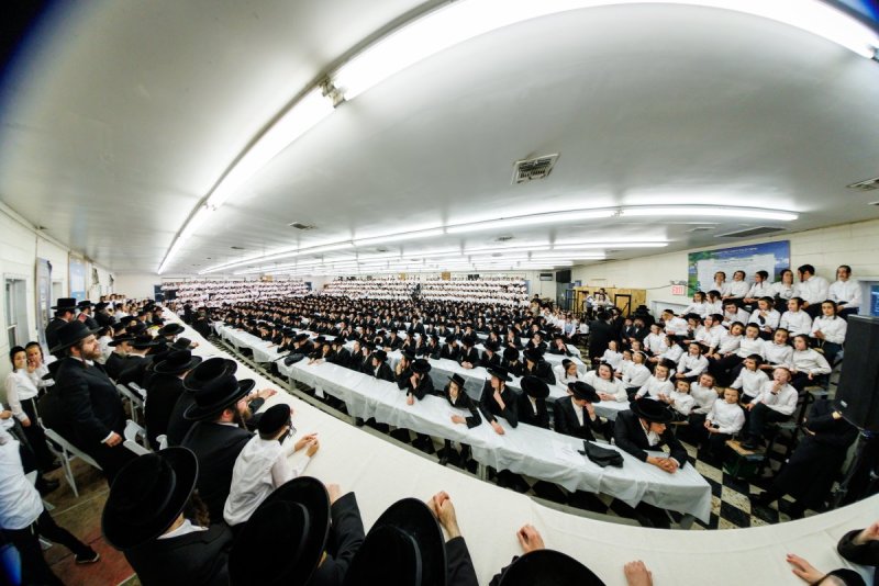 יוסי גולדברגר