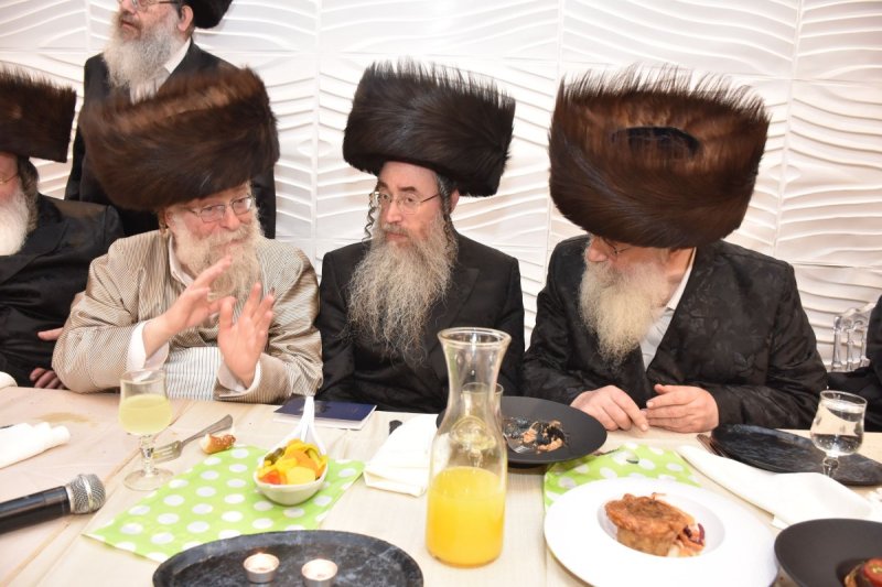 יהודה פרקוביץ